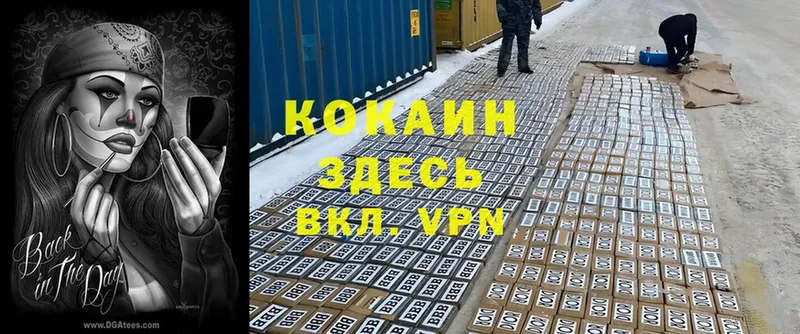 COCAIN VHQ  Камызяк 