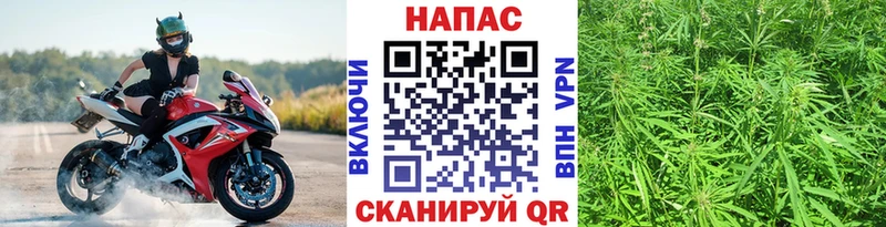 сколько стоит Камызяк Бошки Шишки VHQ